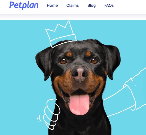 Petplan Pet Insurance